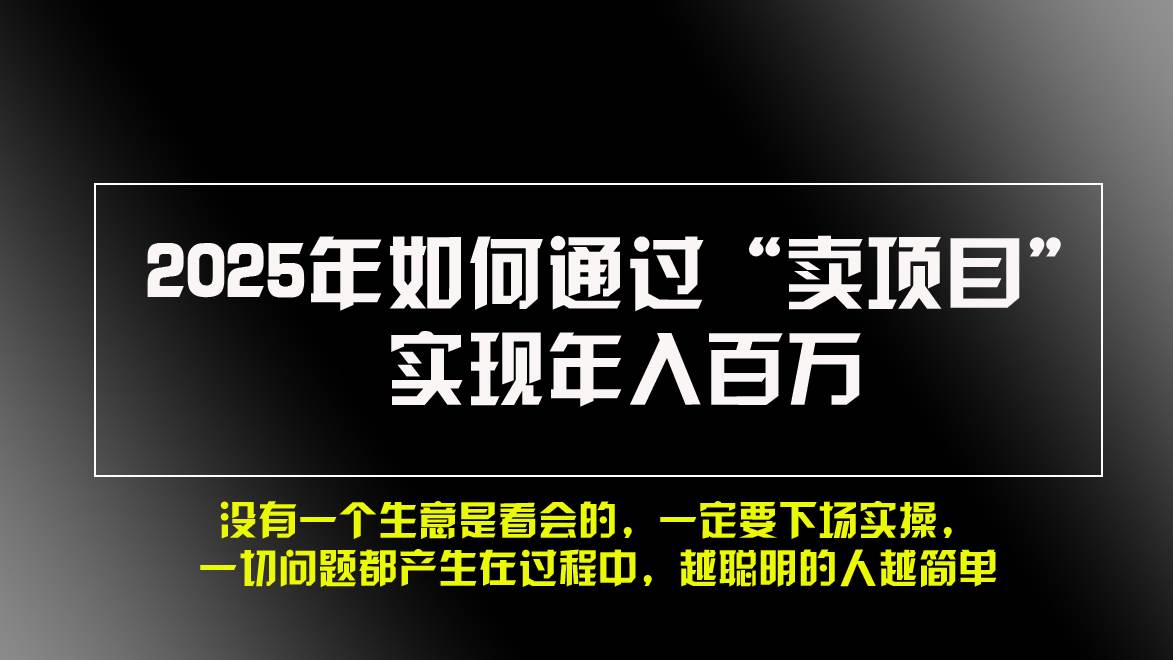 （13468期）2025年如何通过“卖项目”实现年入百万，做网赚必看！！ - 吾爱随笔资源网