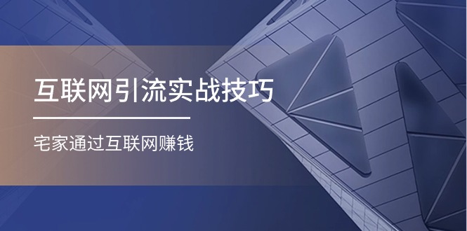 （11108期）互联网引流实操技巧(适合微商，吸引宝妈)，宅家通过互联网赚钱（17节） - 吾爱随笔资源网